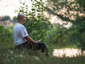 Trainingscenter - geführte Meditationen
